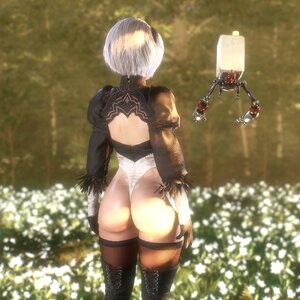 2B forest