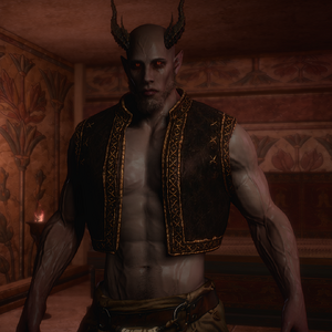 AmonVest.png