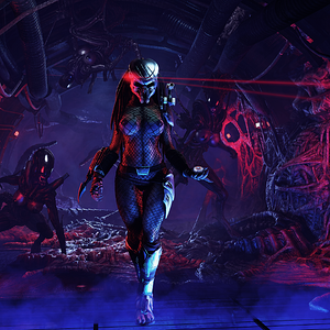 avp